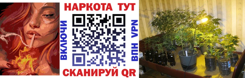 Альфа ПВП Сясьстрой