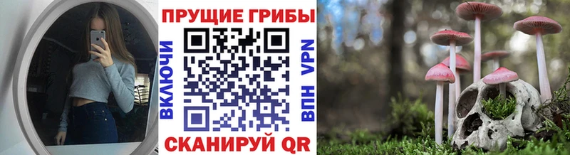 даркнет сайт  Сясьстрой  Галлюциногенные грибы ЛСД 